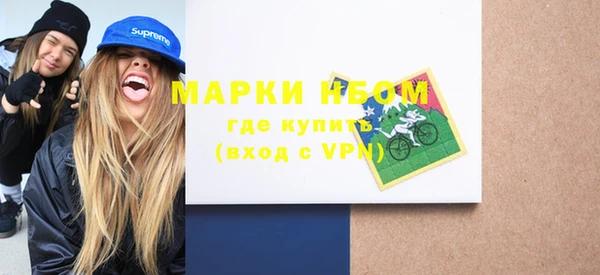 СК Бронницы