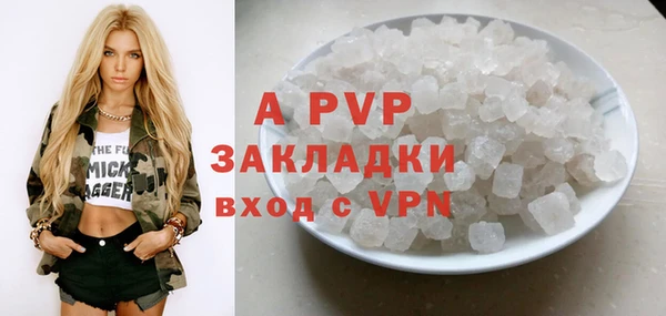 СК Бронницы